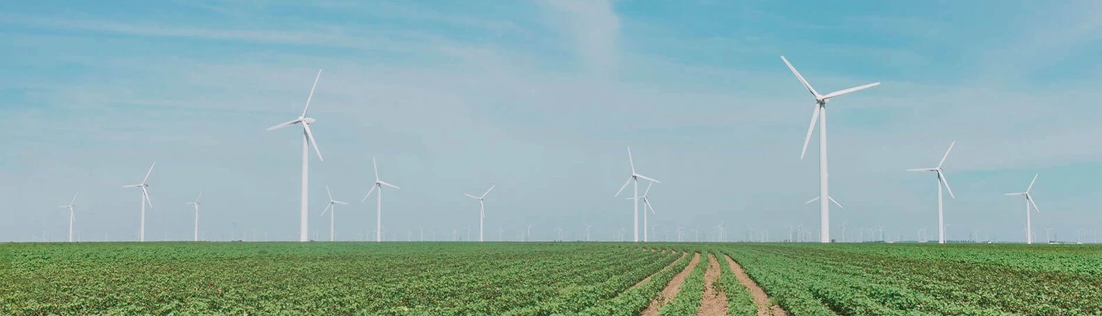 Are Investments Into Renewable Energy Resources On An Expanding Growth Trajectory?