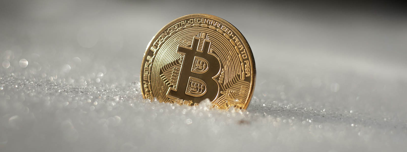 Navigating the Crypto Winter: Institutional Responses to the Terra Luna Collapse
